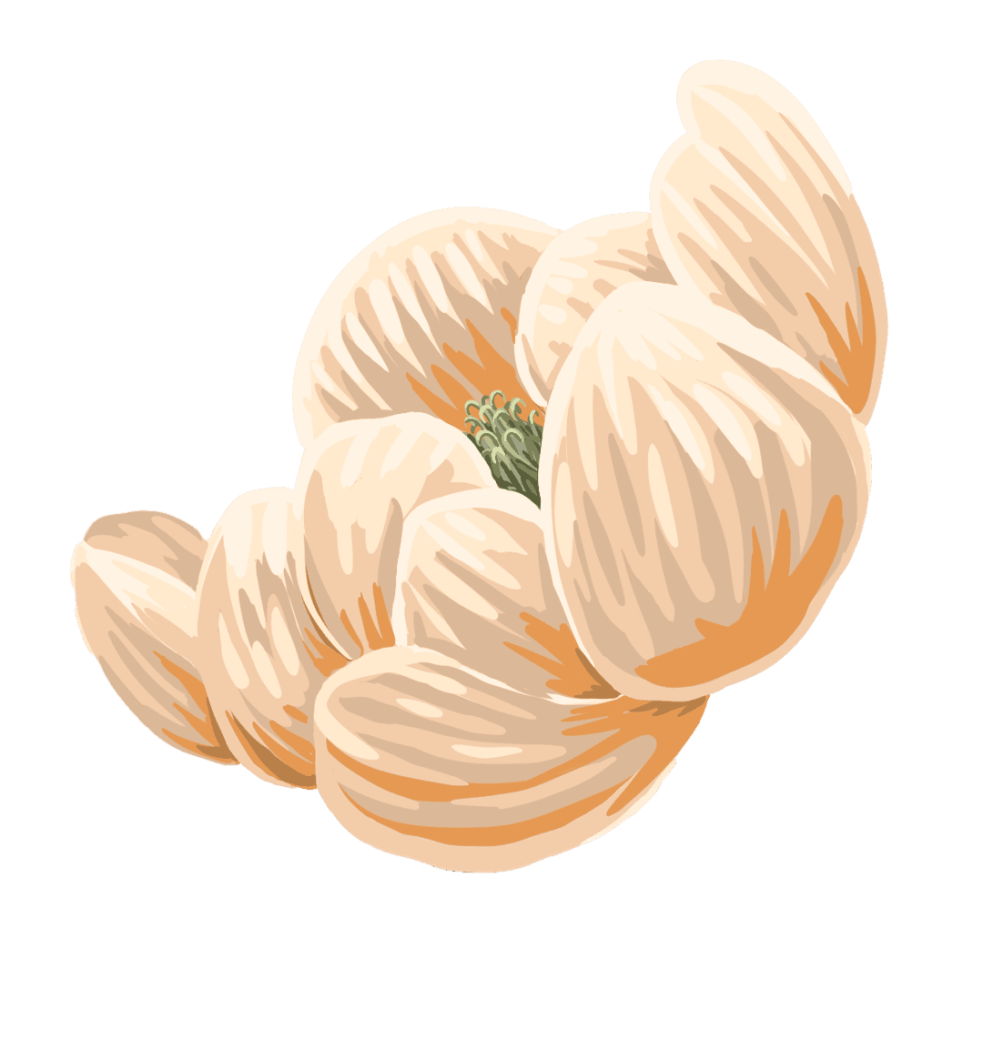 whiteflower